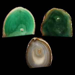 Natural History - Cut and Polished Agate Section Group [3]