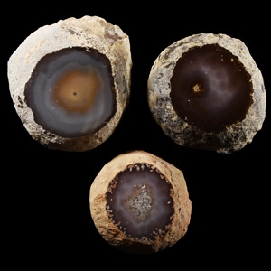 Natural History - Cut and Polished Agate Window Group [3]