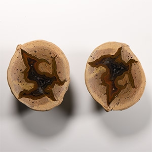 Natural History - Australian Agate Creek Cut and Polished Thunder Egg