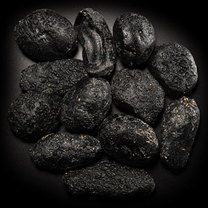 Natural History - Large Meteoritic Tektite Group [12]