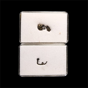 Natural History - Cased Native Silver Wire Specimen Group [2]