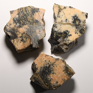 Natural History - Dendritic Jasper Mineral Display Group [3]