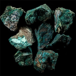 Natural History - Chrysocolla Mineral Sample Group [8]