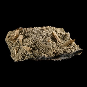 Natural History - Anhydrite Mineral Specimen Slab