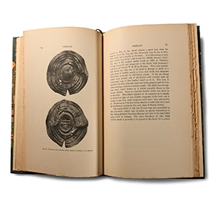 Archaeological Books - Coffey - The Bronze Age in Ireland