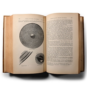 Archaeological Books - Evans - Bronze Implements, Weapons, and Ornaments of Great Britain and Ireland