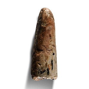 Natural History - North Sea Fossil Woolly Mammoth Tusk Tip