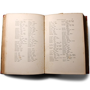 Numismatic Books - Hildebrand - Anglosachsiska Mynt