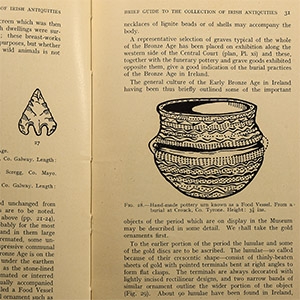 Archaeological Books - Joseph Raftery - A Brief Guide to the Collection of Irish Antiquities