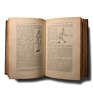 Archaeological Books - Wilde - Catalogue of The Antiquities of Stone, Earthen, and Vegetable Materials, in the Museum of the Royal Irish Academy