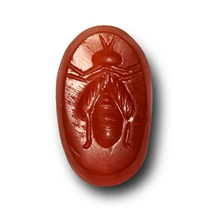 Roman Carnelian Gemstone with Bee