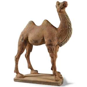 Tang Style Camel