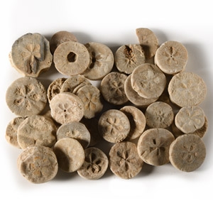 Romano-Egyptian Limestone Floral Inlay Group