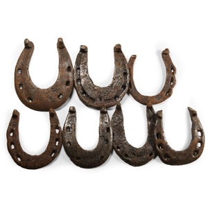 Medieval Iron Horseshoe Group