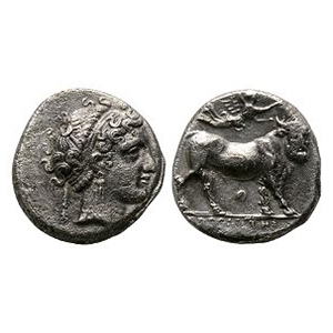 Ancient Greek Coins - Campania - Neapolis - AR Didrachm