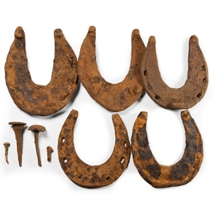 Medieval Iron Horseshoe Group