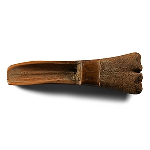 Medieval Thames Bone Fid