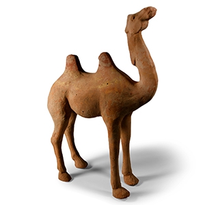 Tang Terracotta Camel