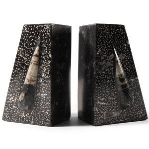 Natural History - Polished Orthoceras Book End Pair