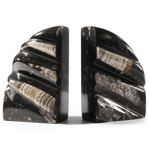 Natural History - Polished Orthoceras Fossil Book End Pair