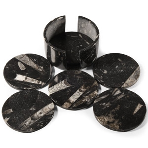 Natural History - Polished Fossil Orthoceras Coaster Set