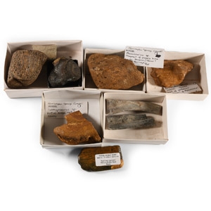 Natural History - Mixed British Fossils