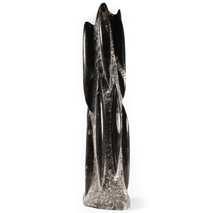 Natural History - Polished Fossil Orthoceras Column