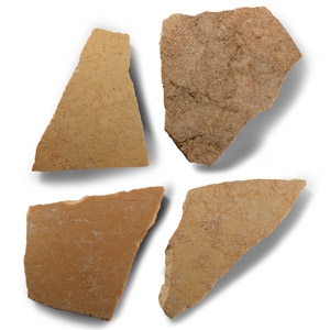 Natural History - Giant Elephant Bird Eggshell Group