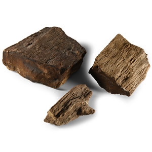 Natural History - Fossilised Wood Section Group