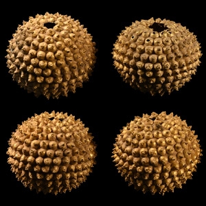 Archaic Greek Set of Four Gold Beads