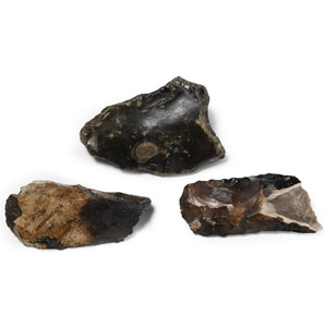 Stone Age Lakenheath Knapped Stone Tool Group