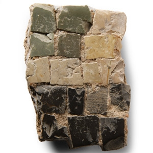 Roman Floor Mosaic Section