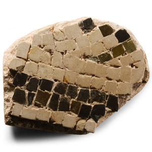 Roman Floor Mosaic Section