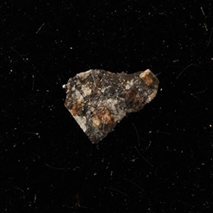 Natural History - Mifflin Meteorite