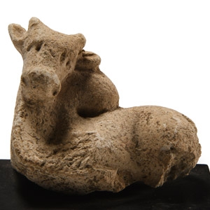 Greek Terracotta Zebu Statuette