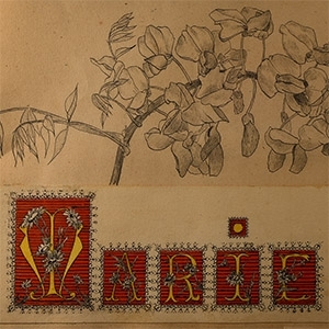 Drawing of Flowers for Marie