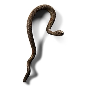 Hellenistic Style Silver Snake Decoration