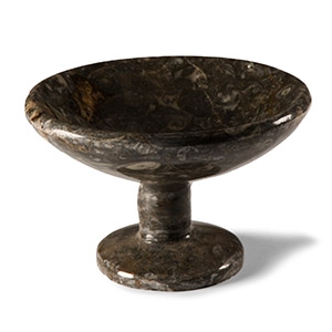 Natural History - Polished Fossil Chalice