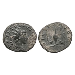 Ancient Roman Imperial Coins - Tetricus II - AE Priestly Implements Antoninianus