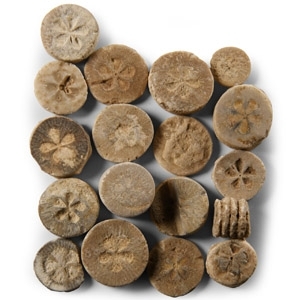 Egyptian Limestone Floral Inlay Group