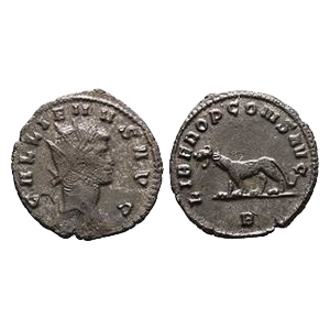 Ancient Roman Imperial Coins - Gallienus - Tigress AE Antoninianus
