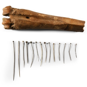 Thames Bone Pin Holder Instrument with Pins