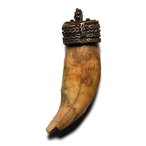 Silver Pendant with Bears Tooth