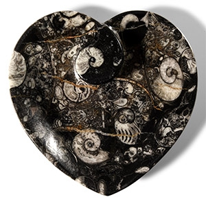 Natural History - Fossil Goniatite Heart-Shaped Trinket Tray