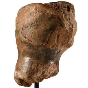 Woolly Mammoth Bone Fragment on Stand