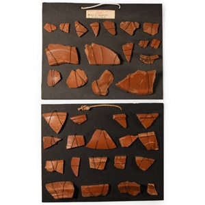 Hampshire Samian Ware Sherd Collection on Display Cards