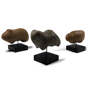 Stone Age Animal Idol Group