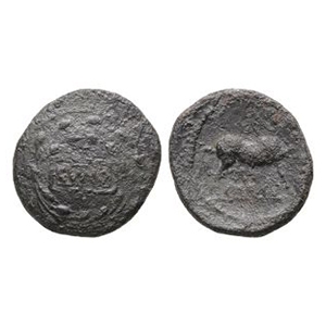 Celtic Iron Age Coins - Catuvellauni - Cunobelin - Stepping Horse AE Unit