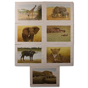 Africas Magnificent Seven Prints by Chris Chrisoforou