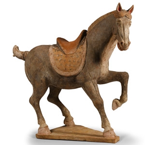 Tang Terracotta Horse